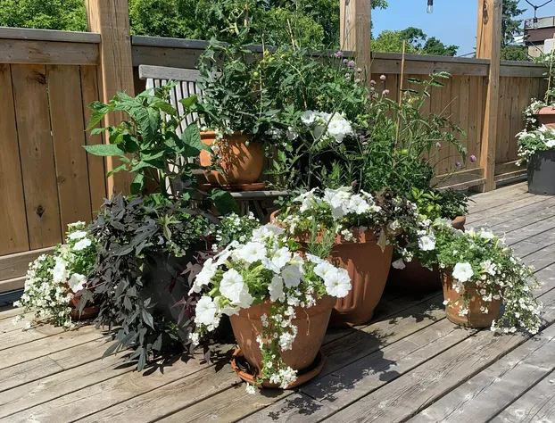 173 High Street hotel detail image 3