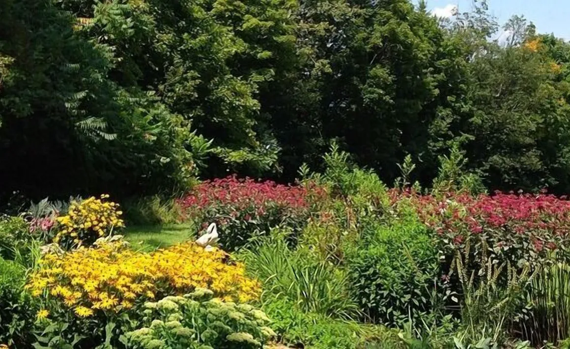 Beaver Pond Farm Inn hotel hero