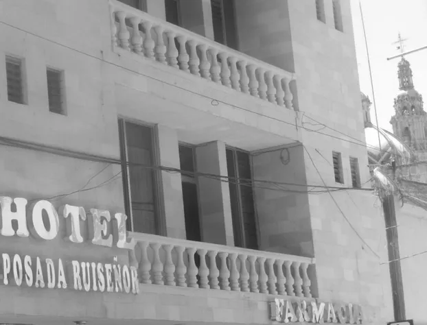 Hotel Posada Ruisenor hotel detail image 1