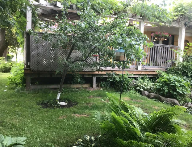 Garden Studio hotel detail image 2