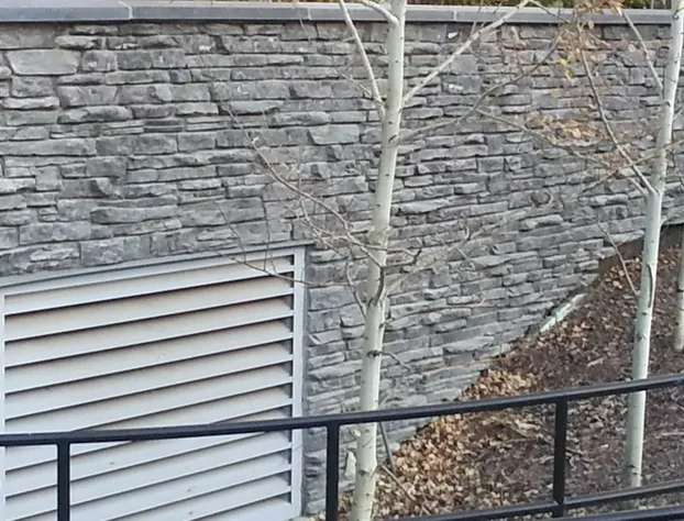 Pinnacle Inn & Suites Aspen hotel detail image 3