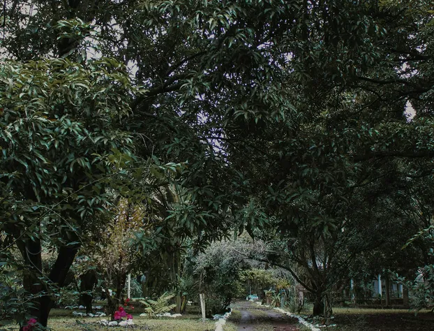 Mango Selva Bio Hotel hotel detail image 2