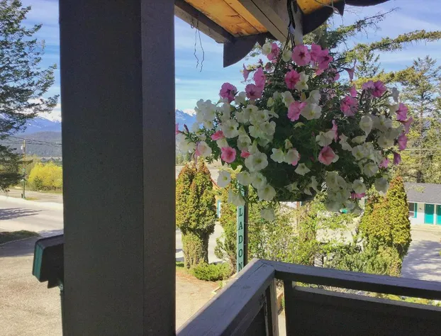 Celadon Lodge hotel detail image 2