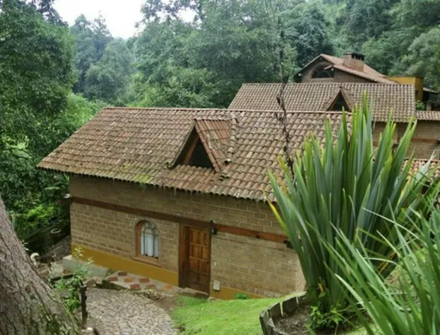 Bosque La Luna hotel detail image 4