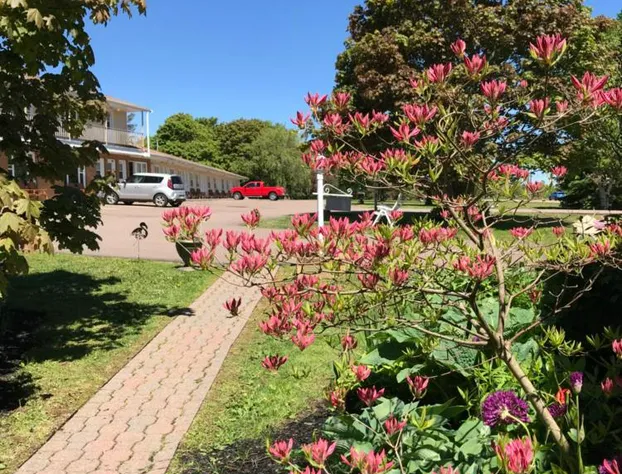 Fair Isle Motel hotel detail image 2
