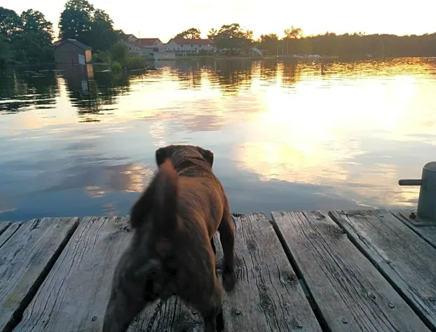 All Tucked Inn hotel detail image 2