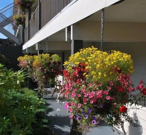 Pacific Rim Motel hotel detail image 4