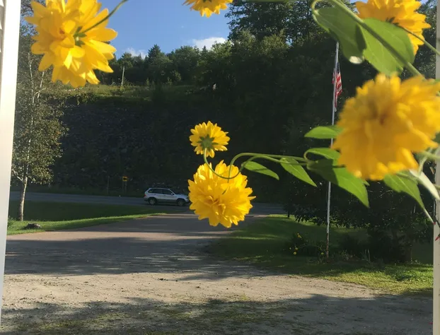 Inn by the River hotel detail image 1