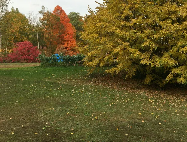 Inn by the River hotel detail image 3