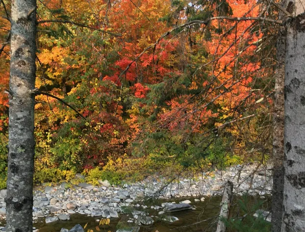 Inn by the River hotel detail image 4