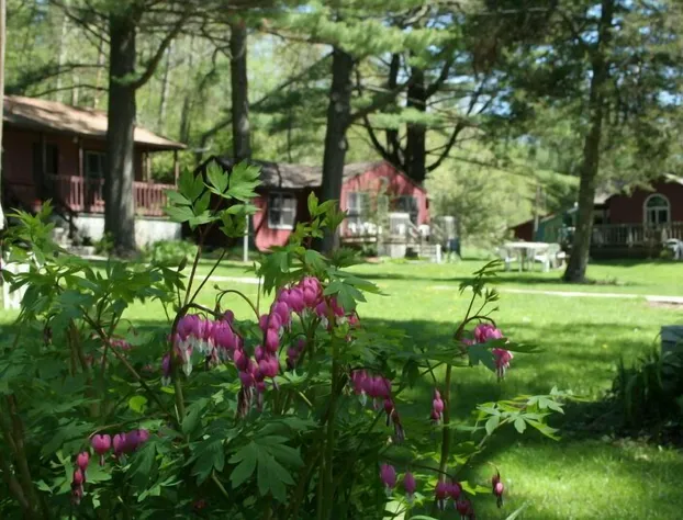 Silver Spruce Resort hotel detail image 1