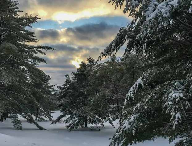 Silver Spruce Resort hotel detail image 4