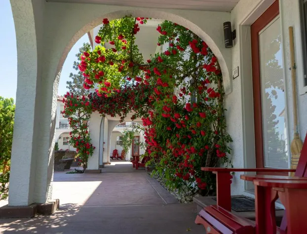 Sandy Beach Suites hotel detail image 2