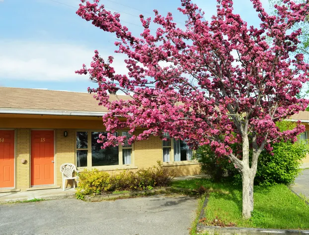 Condo & Motel des Berges hotel detail image 1