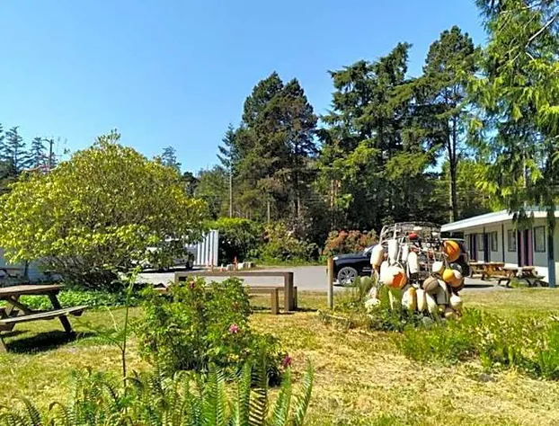 Dolphin Motel hotel detail image 2