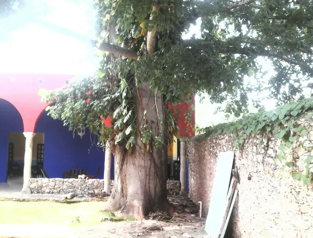 Hotel Tunich Beh hotel detail image 1