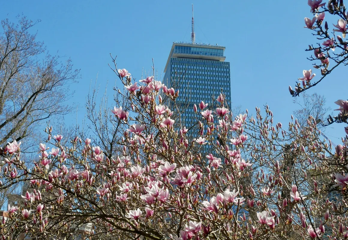 Remarkable One Bedroom Suite hotel hero