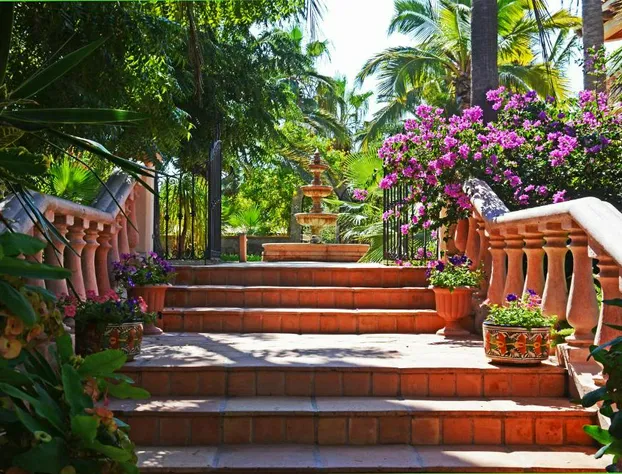 La Valise Los Cabos hotel detail image 2