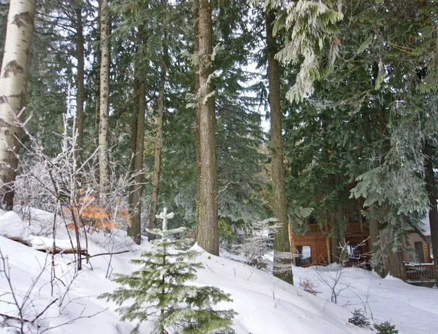 Rams Head Inn hotel detail image 4