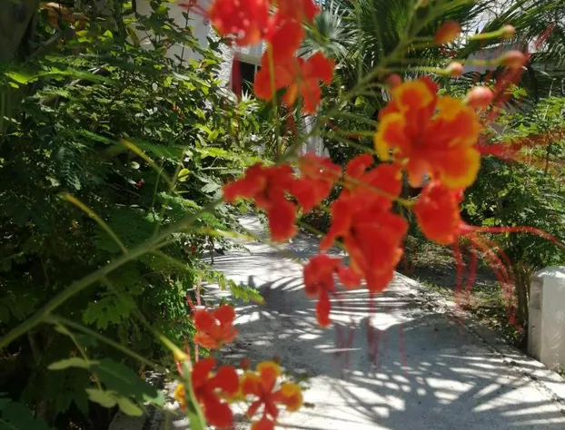 Maria's Kan Kin with Private Beach hotel detail image 2