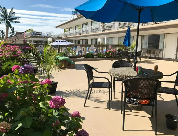 Pyramid Resort Motel hotel detail image 1