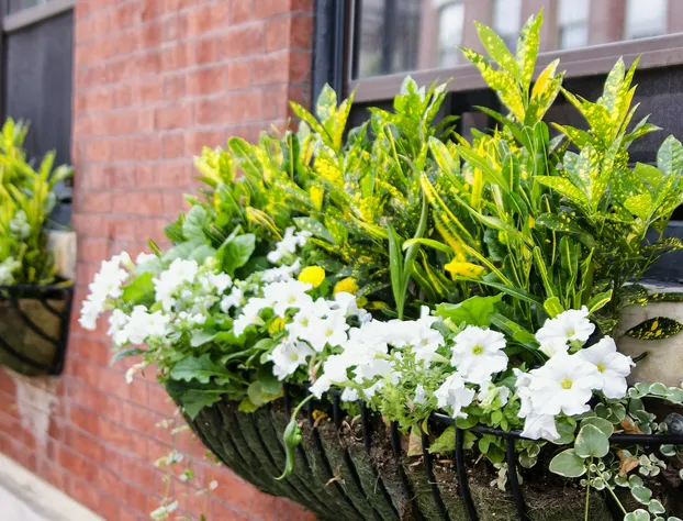 The DWIGHT D Hotel hotel detail image 2