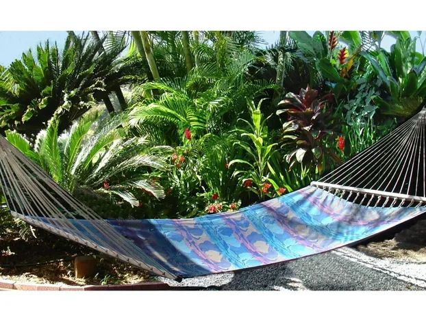 Adventure in Paradise hotel detail image 2