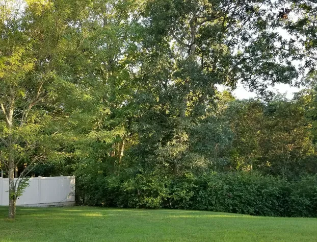 Smithtown Inn hotel detail image 2