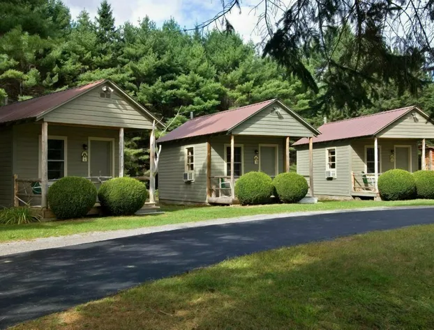 Pine Tree Motel & Cabins hotel detail image 1