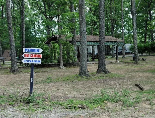 Pandora's Forest - Adults Only hotel detail image 3