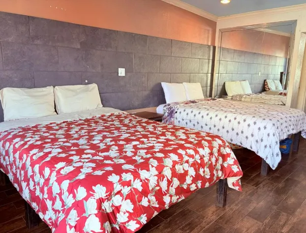 Regency Inn Houston Near Hobby Airport hotel detail image 3