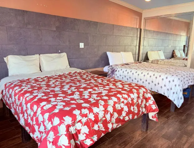 Regency Inn Houston Near Hobby Airport hotel detail image 4