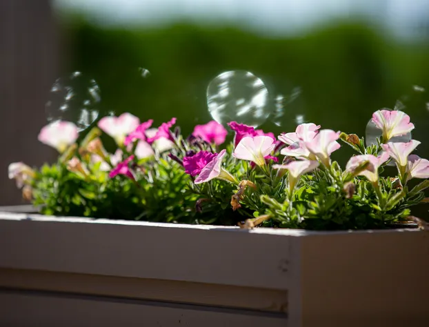 Aqualina Inn Montauk hotel detail image 4