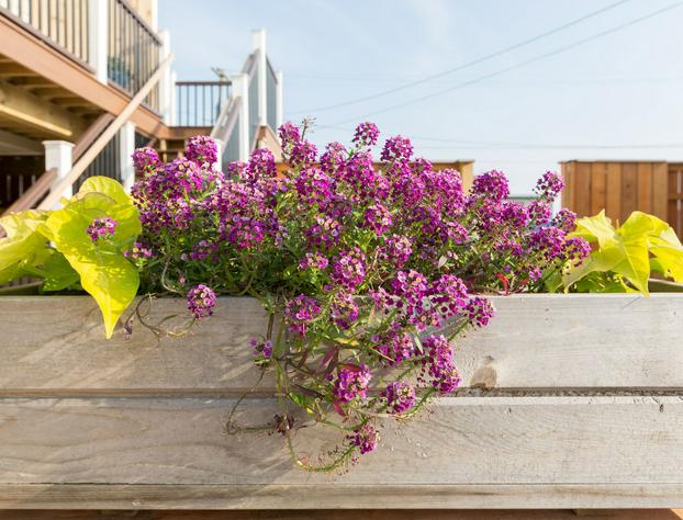 Aqualina Inn Montauk hotel detail image 3