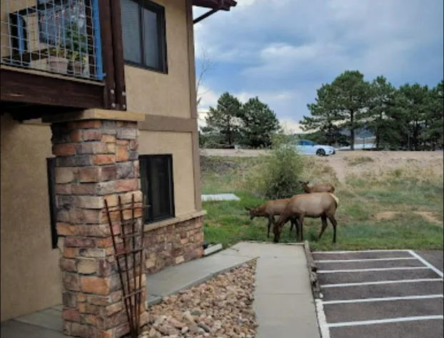 The Haber Motel hotel detail image 4