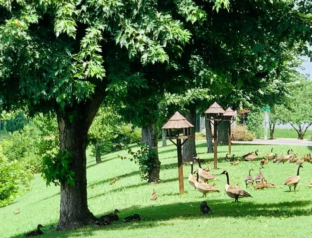 Landmark Inn hotel detail image 2