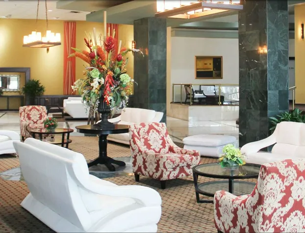 C Ocean Rentals at Casablanca Miami Beach hotel detail image 2