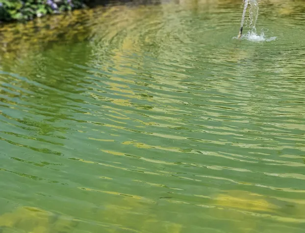 Departamento En Condómino Residencial El Milagro hotel detail image 2