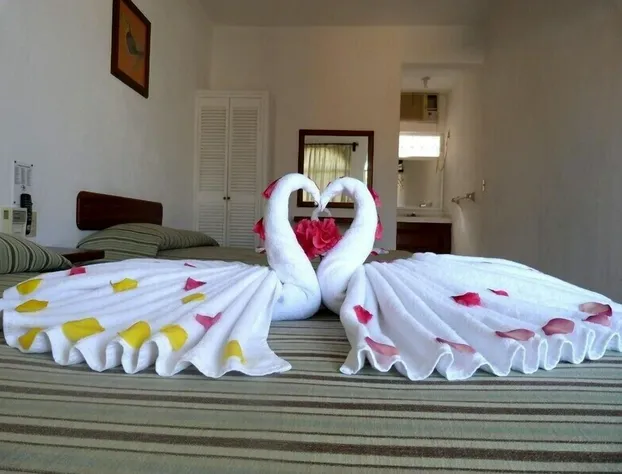 Hotel Jaroje Centro hotel detail image 3