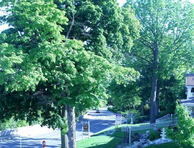 Niagara Gorgeview hotel detail image 4