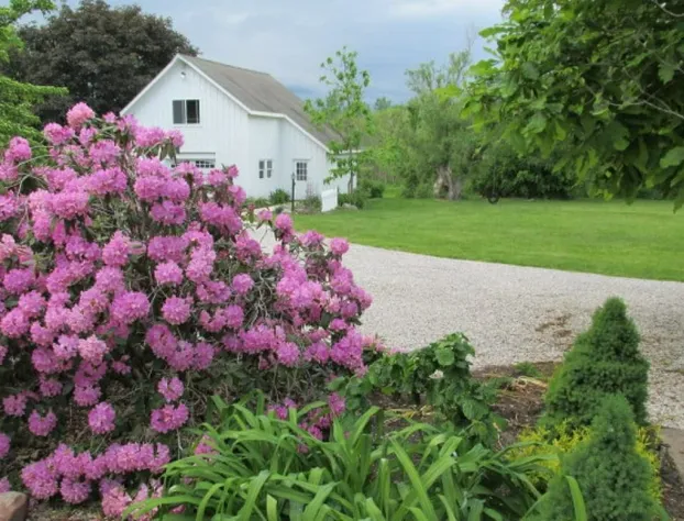 The Lost Pearl hotel detail image 3