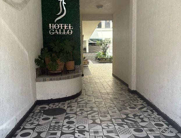 Hotel Gallo Rubio hotel detail image 1