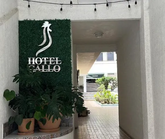 Hotel Gallo Rubio hotel detail image 2