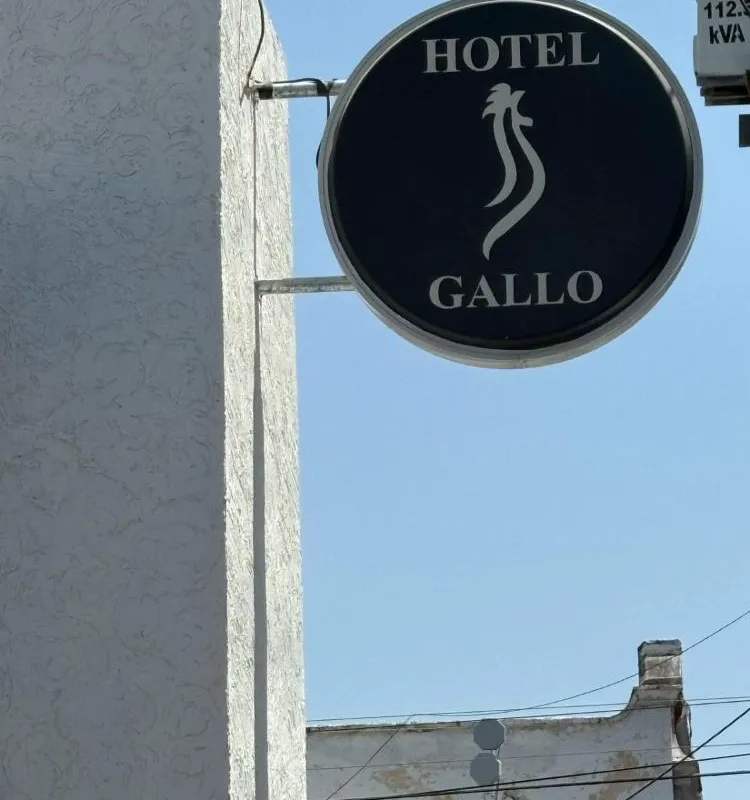 Hotel Gallo Rubio hotel hero