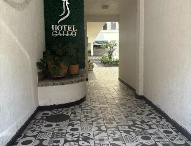 Hotel Gallo Rubio hotel detail image 4