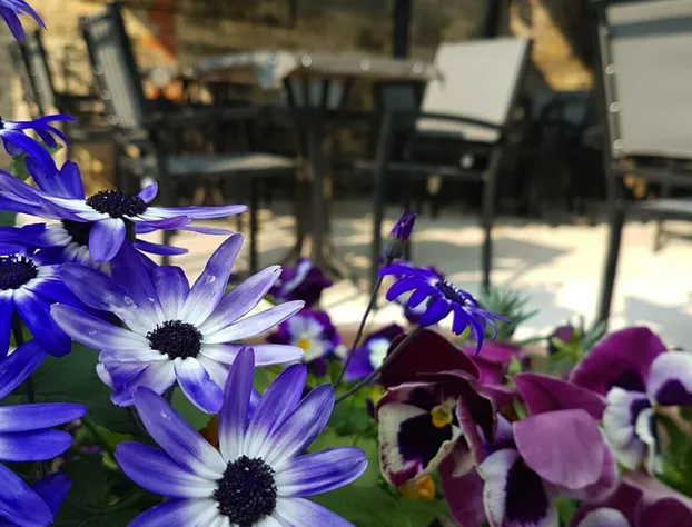 Wellington Inn by Hoco Hotels Collection hotel detail image 4