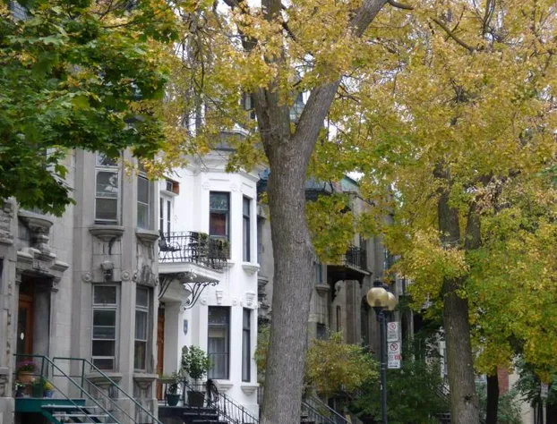 Gingerbread Manor hotel detail image 1