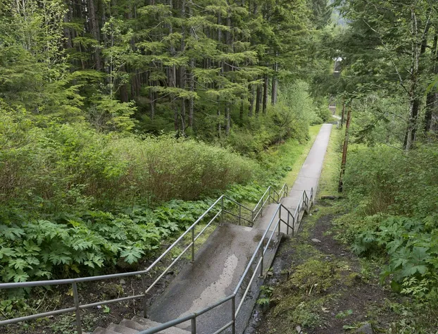 Tall Trees Bed & Breakfast hotel detail image 1