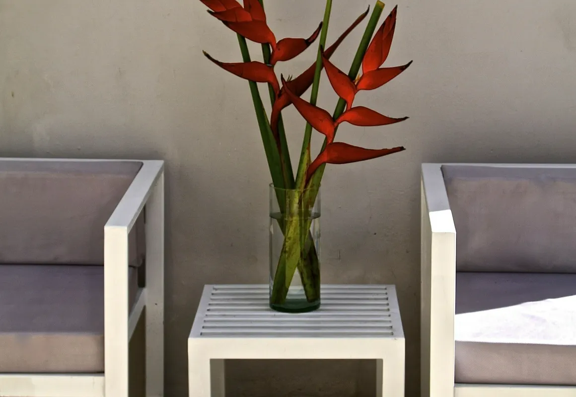 The Diplomat Boutique Hotel hotel hero