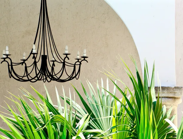 The Diplomat Boutique Hotel hotel detail image 3